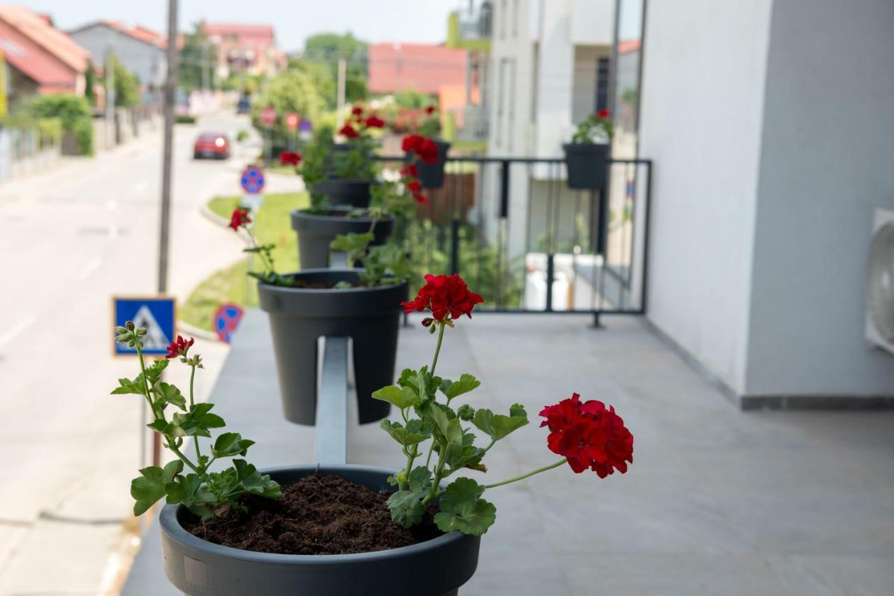 Apartament Mathe Timişoara